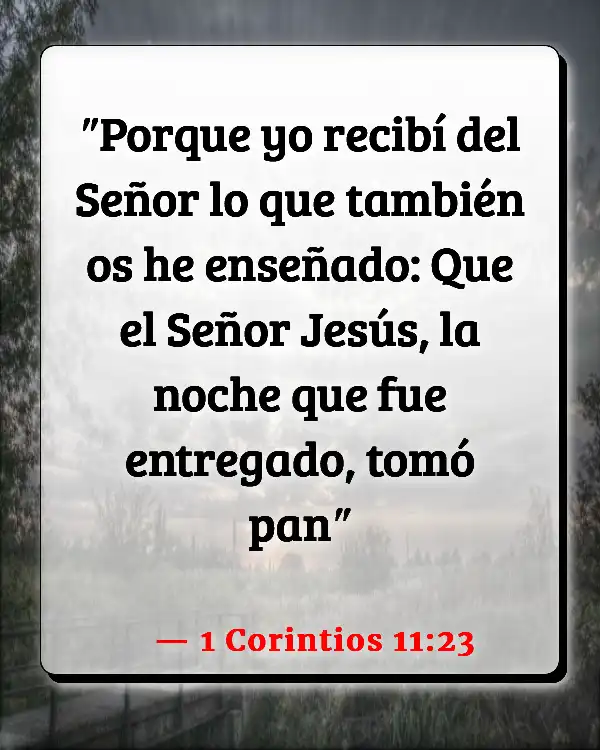 Versículos De La Biblia   	Simios  (1 Corintios 11:23)