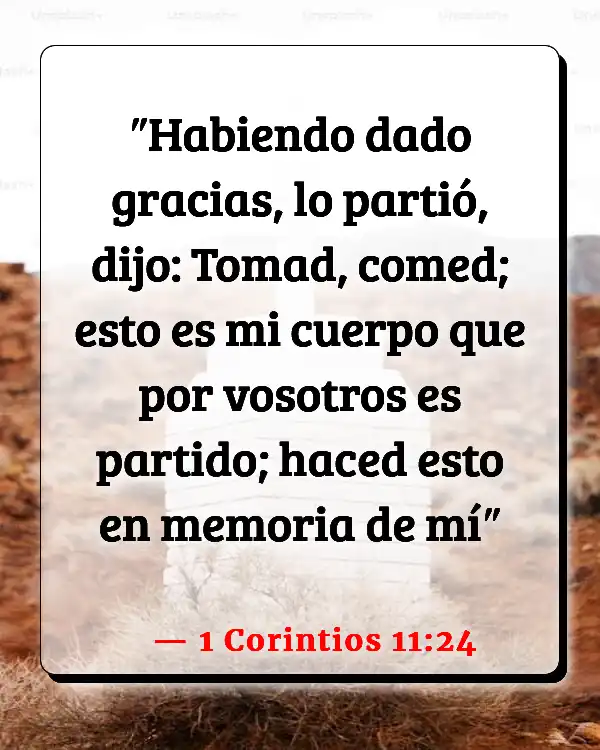 Versículos De La Biblia Anj (1 Corintios 11:24)