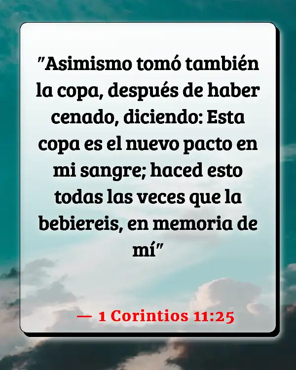 Versículos De La Biblia Accesibilidad (1 Corintios 11:25)