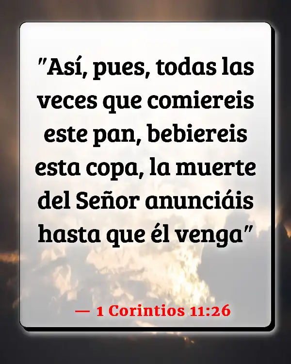 Versículos De La Biblia   	Venida de Jesucristo  (1 Corintios 11:26)