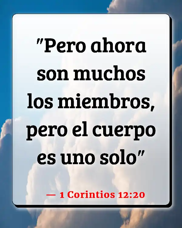 Versículos De La Biblia   	Miembros del equipo de alabanza  (1 Corintios 12:20)