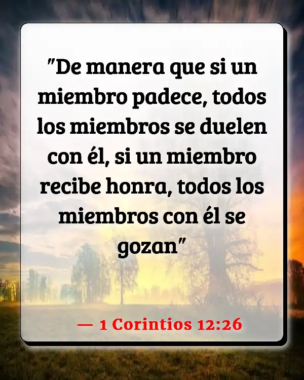 Versículos De La Biblia Partes del cuerpo (1 Corintios 12:26)