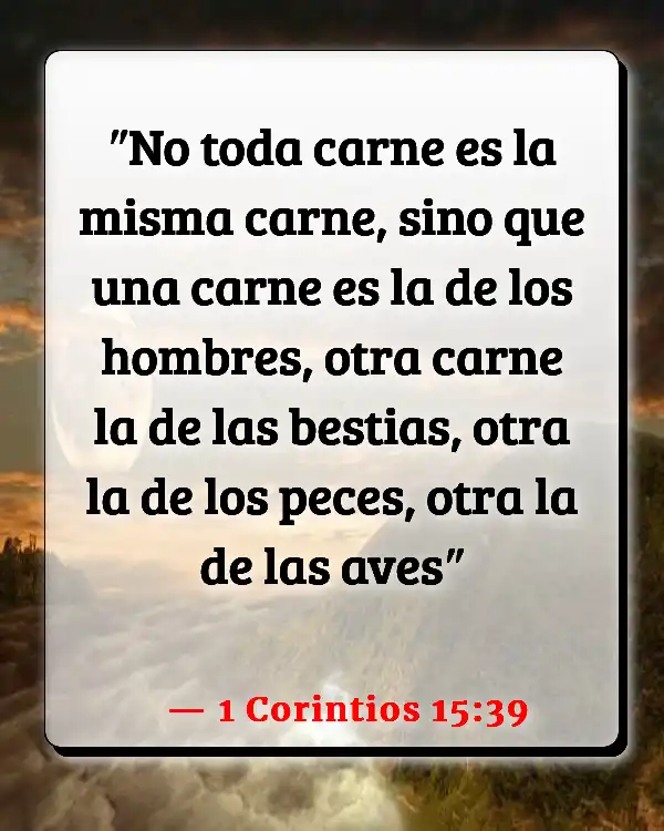 Versículos De La Biblia Mascotas (1 Corintios 15:39)