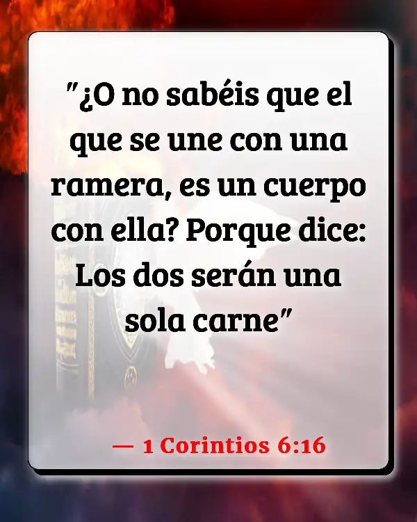 Versículos De La Biblia Abuso físico (1 Corintios 6:16)