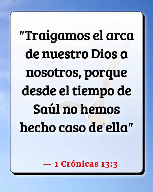 Versículos De La Biblia Arca de la Alianza (1 Crónicas 13:3)