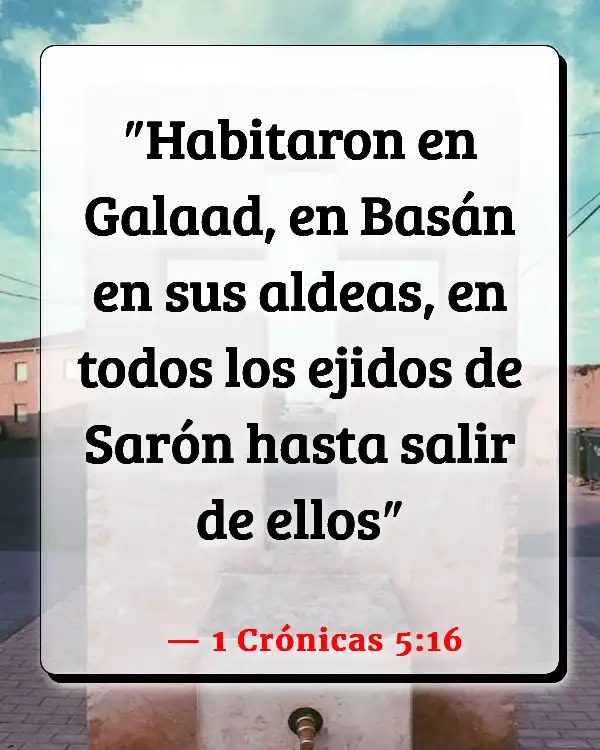 Versículos De La Biblia   	Sharón  (1 Crónicas 5:16)