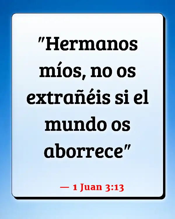 Versículos De La Biblia Siendo perseguido (1 Juan 3:13)