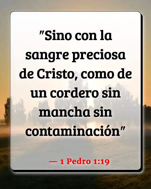 Versículos De La Biblia   	Cordero de Dios  (1 Pedro 1:19)