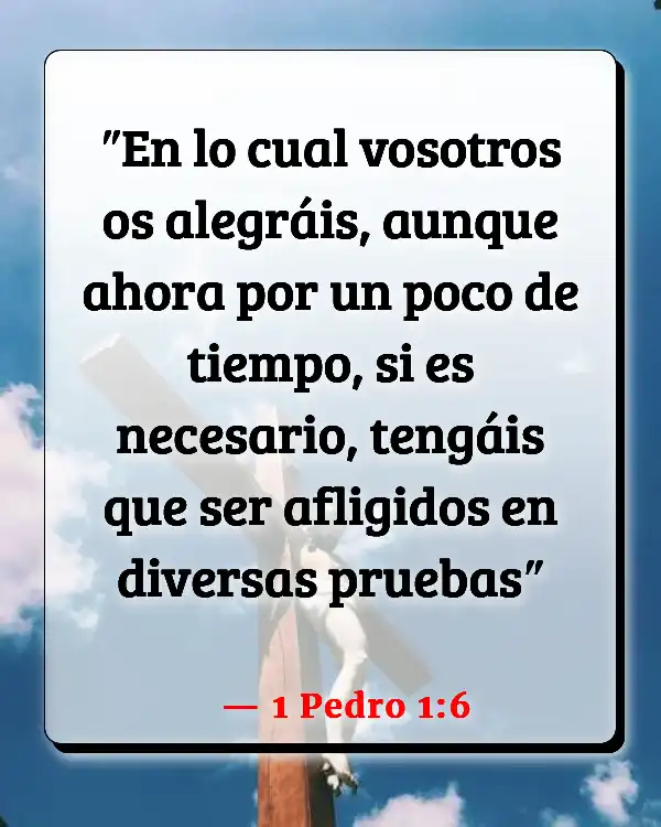 Versículos De La Biblia Primera misión de Pablo (1 Pedro 1:6)