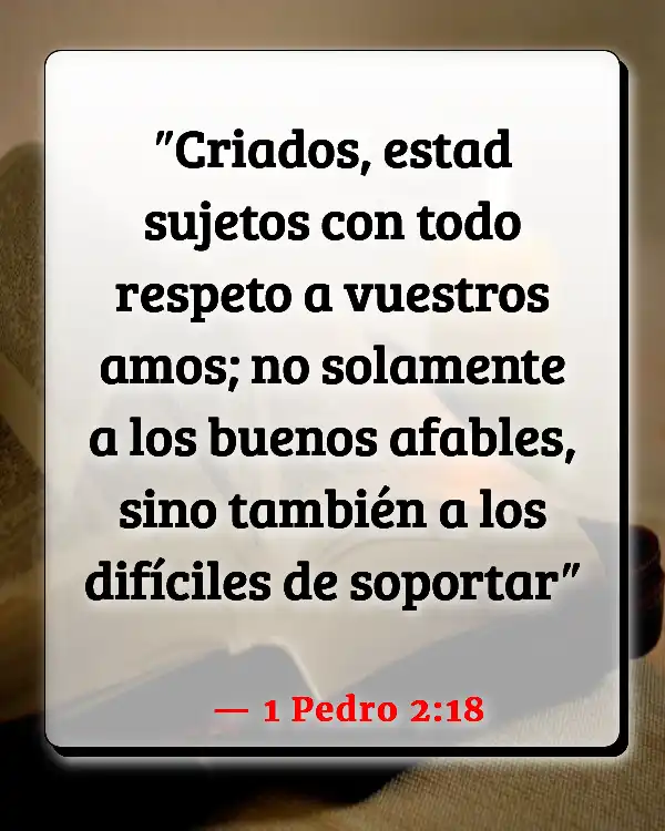 Versículos De La Biblia Discriminación por edad (1 Pedro 2:18)