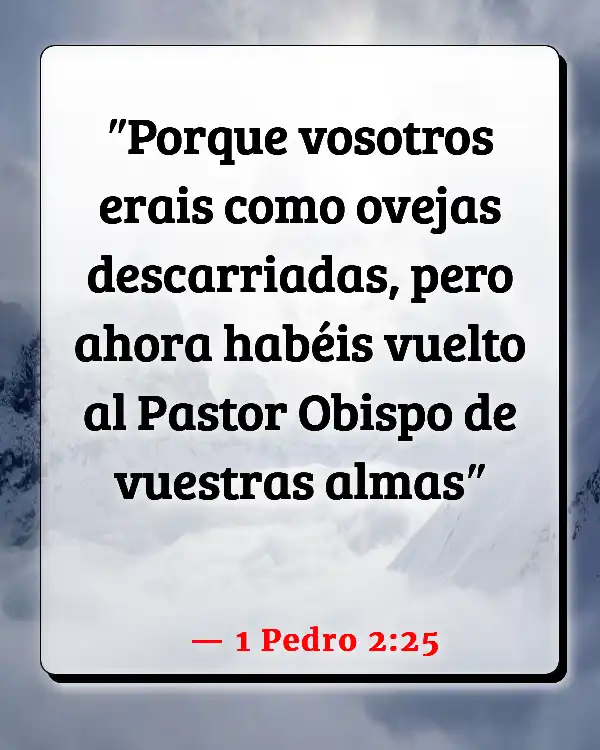 Versículos De La Biblia Perdido (1 Pedro 2:25)