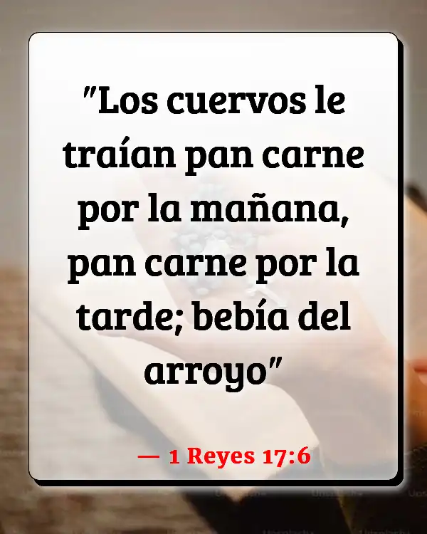 Versículos De La Biblia El Cuervo (1 Reyes 17:6)