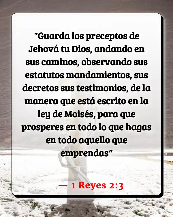 Versículos De La Biblia   	Abundancia  (1 Reyes 2:3)