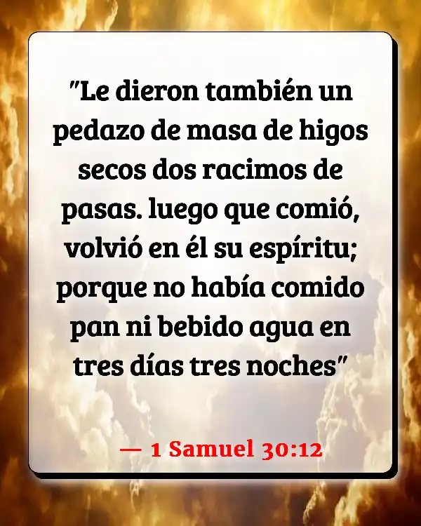 Versículos De La Biblia   	Tortas  (1 Samuel 30:12)