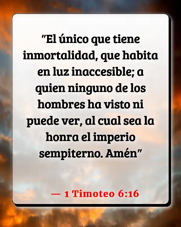 Versículos De La Biblia   	Condenación  (1 Timoteo 6:16)