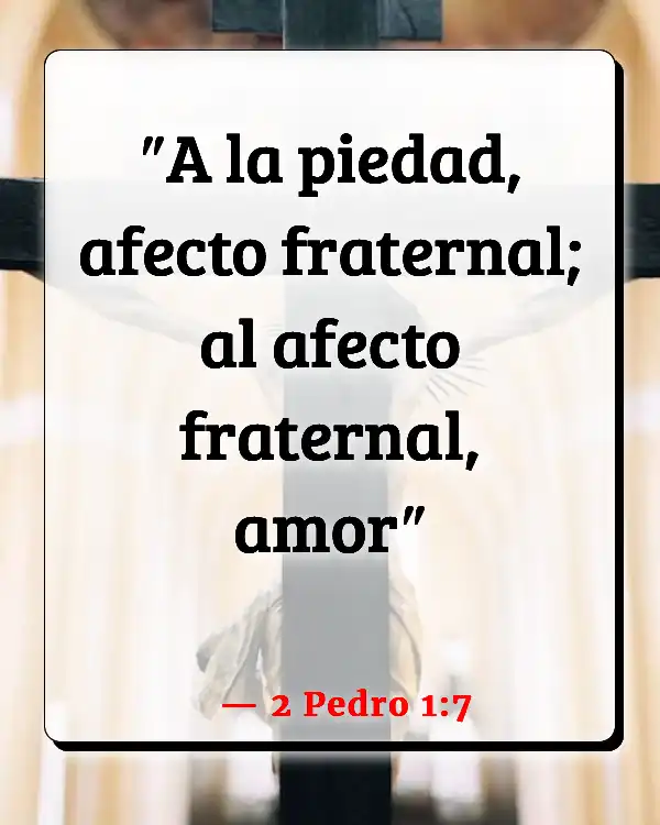 Versículos De La Biblia Abuso en el matrimonio (2 Pedro 1:7)