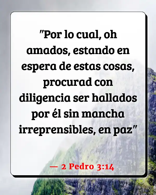 Versículos De La Biblia Abundante (2 Pedro 3:14)