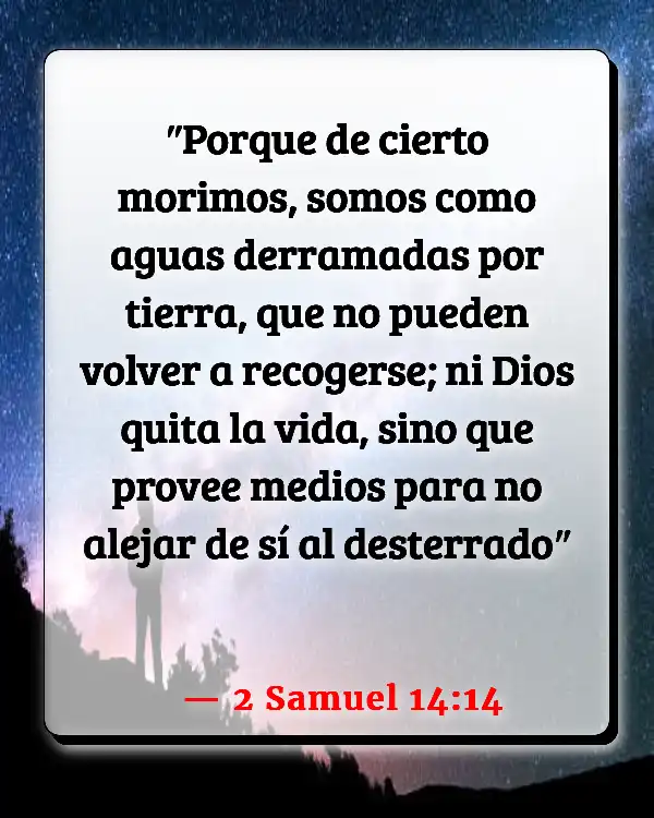 Versículos De La Biblia   	Reencarnación  (2 Samuel 14:14)