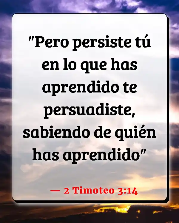 Versículos De La Biblia Predicadores La Palabra (2 Timoteo 3:14)