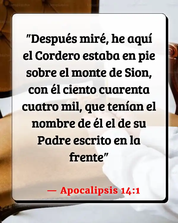 Versículos De La Biblia   	Cordero de Dios  (Apocalipsis 14:1)