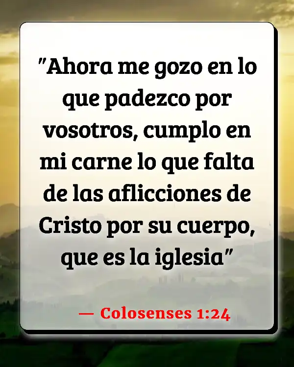 Versículos De La Biblia Partes del cuerpo (Colosenses 1:24)