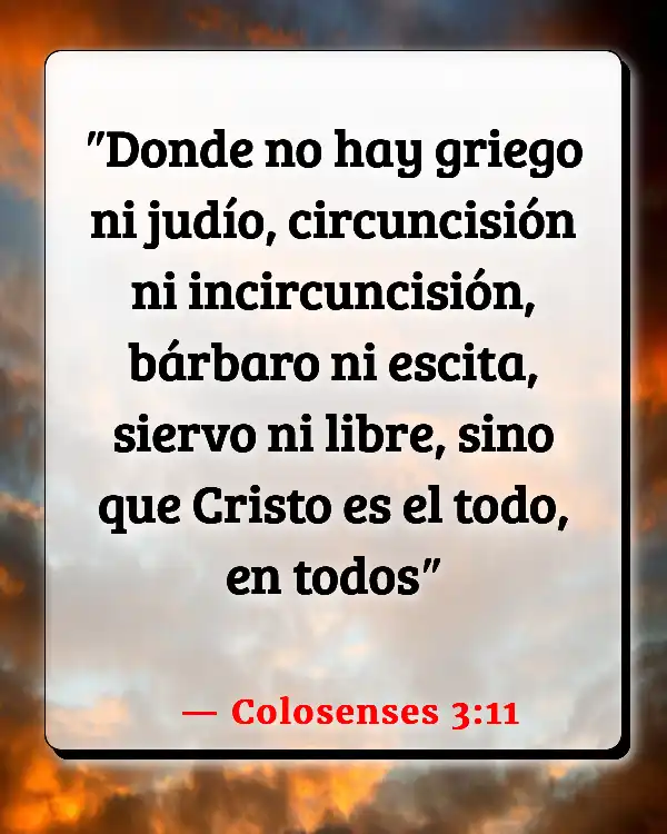 Versículos De La Biblia Partes del cuerpo (Colosenses 3:11)