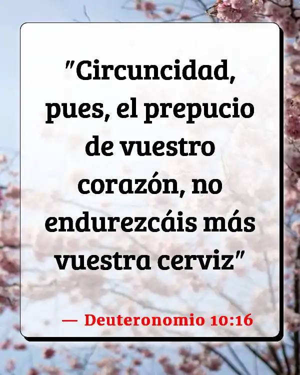 Versículos De La Biblia   	Circuncisión  (Deuteronomio 10:16)