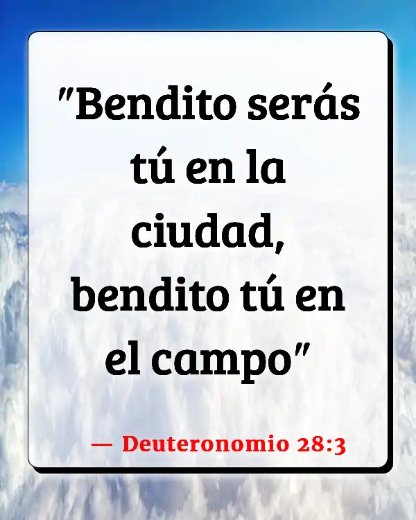 Versículos De La Biblia   	Bendiciones y maldiciones  (Deuteronomio 28:3)