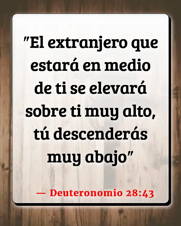 Versículos De La Biblia   	Disponibilidad  (Deuteronomio 28:43)