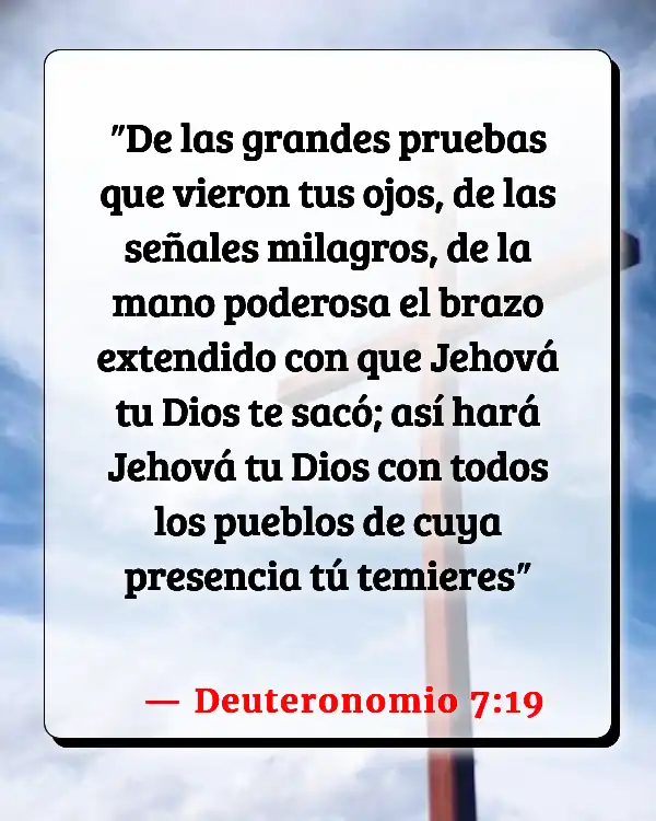 Versículos De La Biblia   	Señales y maravillas  (Deuteronomio 7:19)