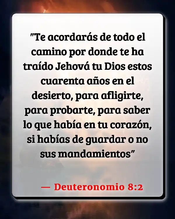 Versículos De La Biblia Niños enfermos (Deuteronomio 8:2)