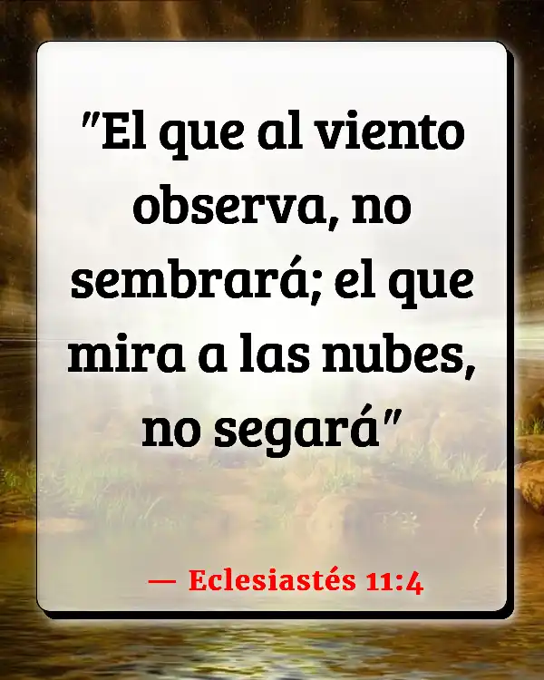 Versículos De La Biblia Responsabilidad personal (Eclesiastés 11:4)