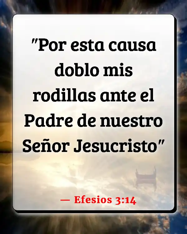 Versículos De La Biblia Parayer (Efesios 3:14)