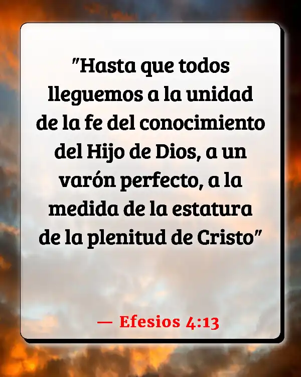 Versículos De La Biblia Partes del cuerpo (Efesios 4:13)