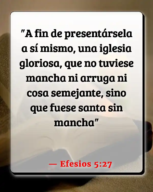 Versículos De La Biblia   	Betsabé  (Efesios 5:27)