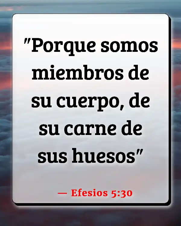 Versículos De La Biblia Partes del cuerpo (Efesios 5:30)