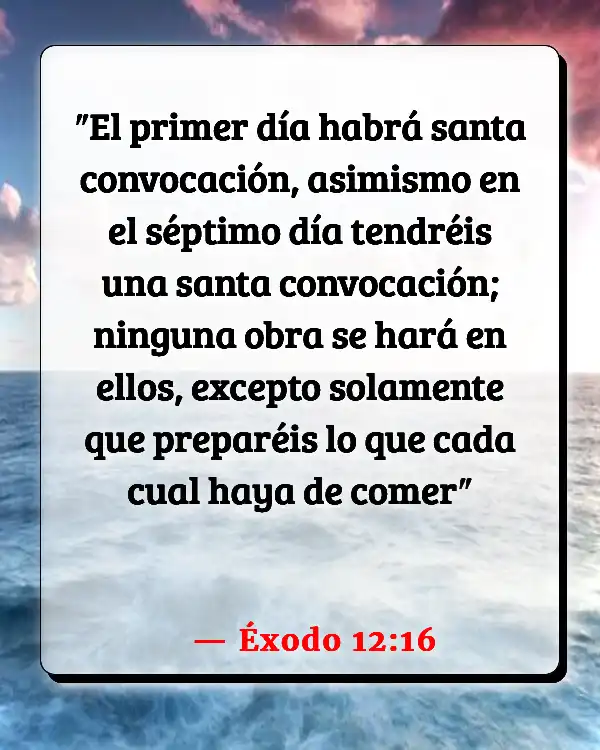 Versículos De La Biblia   	Servicios dominicales  (Éxodo 12:16)