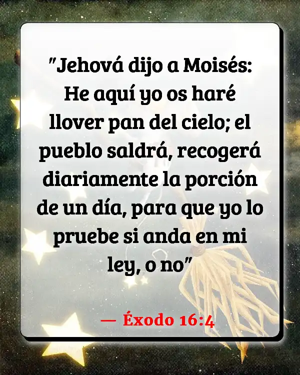 Versículos De La Biblia   	Sábado y Descanso  (Éxodo 16:4)