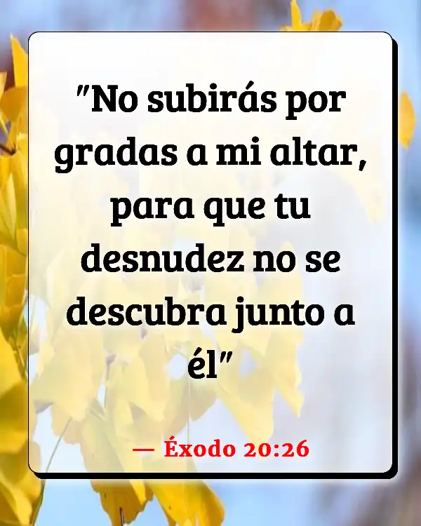 Versículos De La Biblia Altar (Éxodo 20:26)