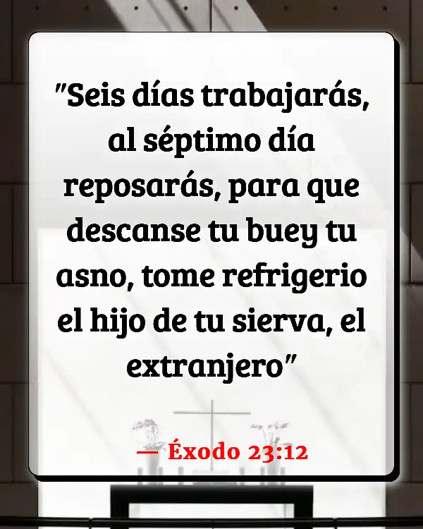 Versículos De La Biblia Adquirir demasiado (Éxodo 23:12)