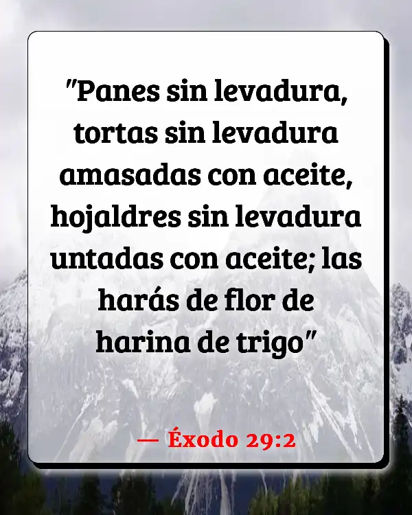 Versículos De La Biblia   	Pan  (Éxodo 29:2)