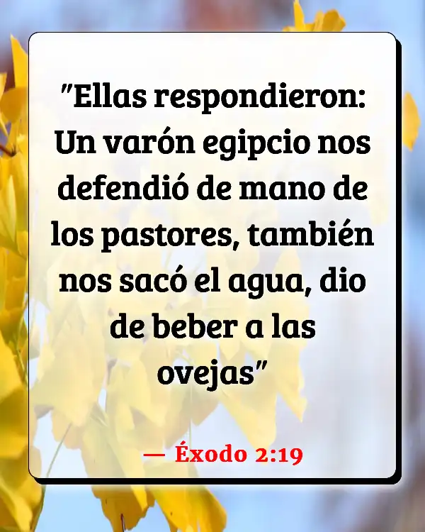 Versículos De La Biblia   	La religión en la época egipcia  (Éxodo 2:19)