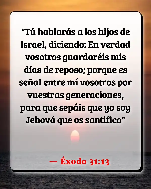 Versículos De La Biblia   	Fiestas paganas  (Éxodo 31:13)