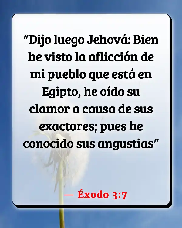 Versículos De La Biblia Adversidad (Éxodo 3:7)
