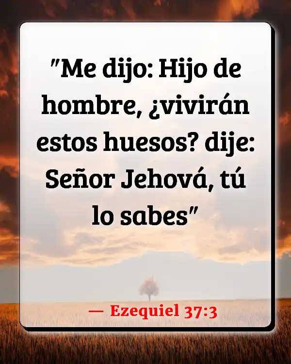 Versículos De La Biblia   	Límites terrestres prometidos  (Ezequiel 37:3)
