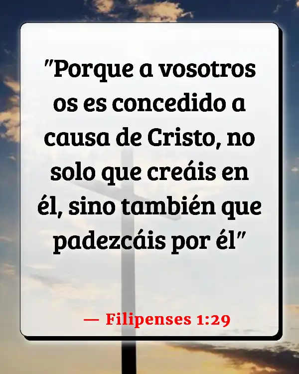 Versículos De La Biblia La soberanía de Dios (Filipenses 1:29)