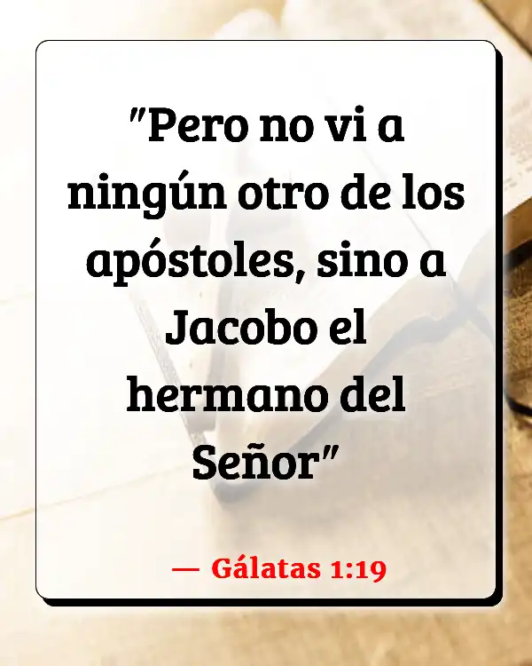 Versículos De La Biblia La Virgen María (Gálatas 1:19)