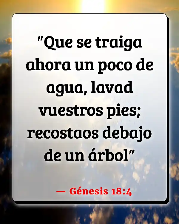 Versículos De La Biblia Pozo de agua (Génesis 18:4)