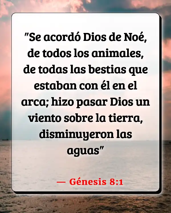 Versículos De La Biblia Pozo de agua (Génesis 8:1)