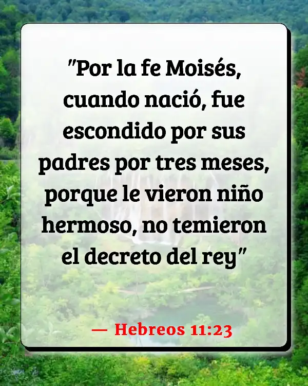 Versículos De La Biblia   	Ángeles de la belleza  (Hebreos 11:23)